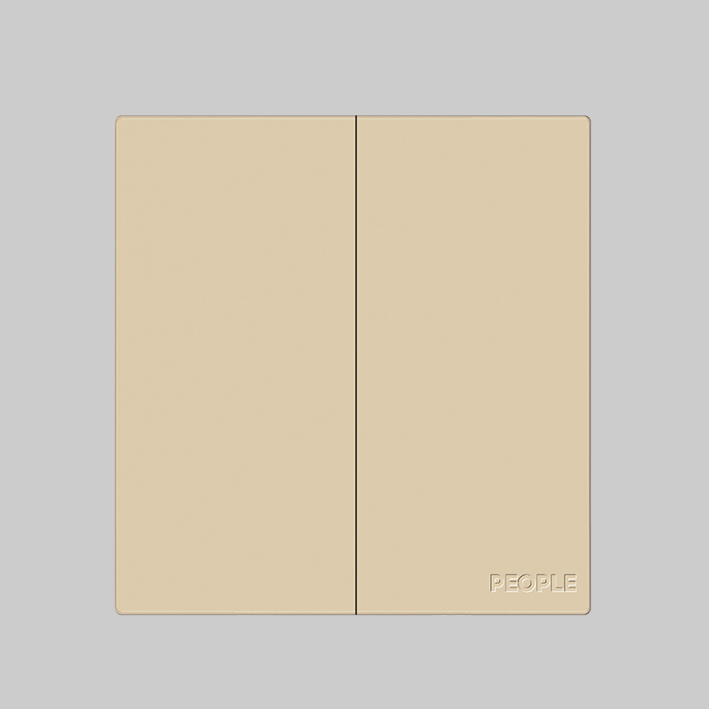南宫NG·28相信品牌力量二联开关(R86H6) 
