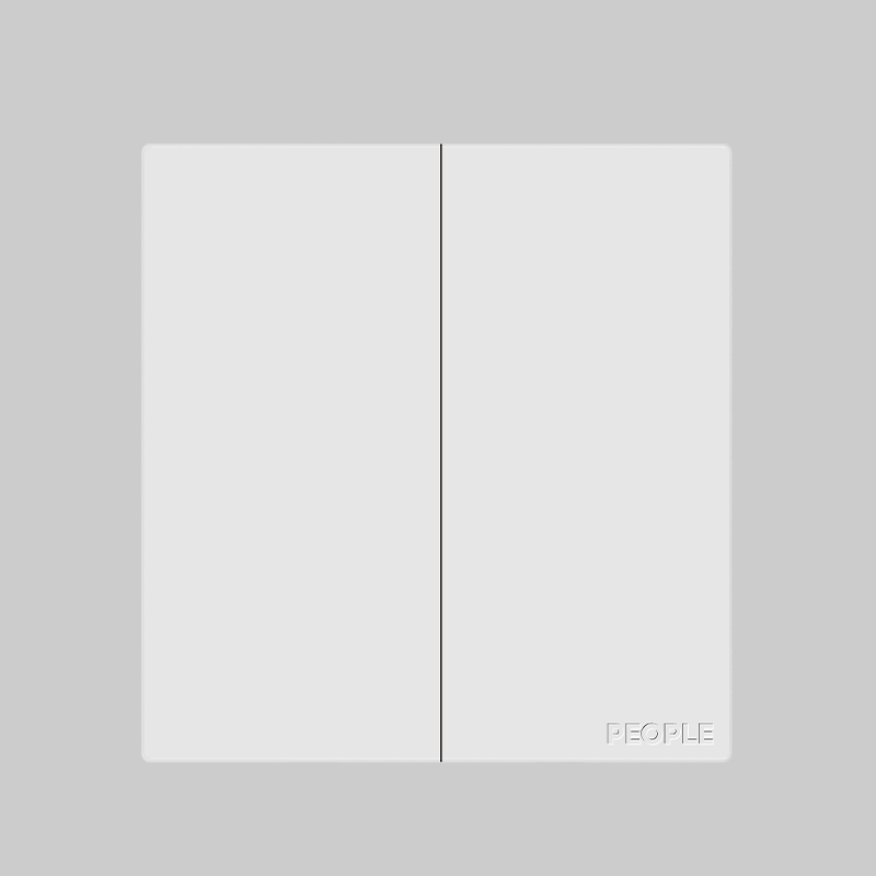 南宫NG·28相信品牌力量二联开关(R86H6) 
