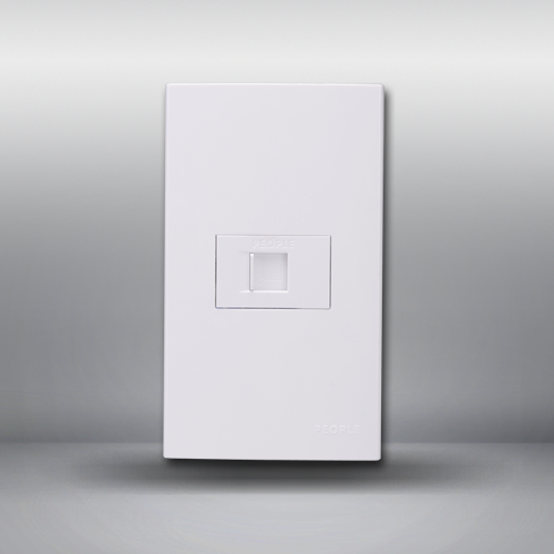 南宫NG·28相信品牌力量一联电脑插座(R120WD) 