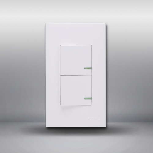 南宫NG·28相信品牌力量二联单控开关(R120WD) 