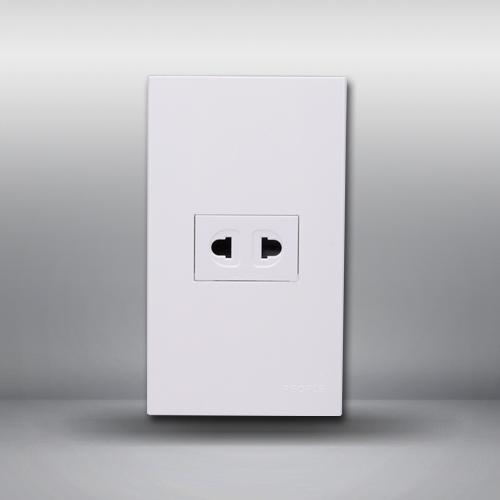 南宫NG·28相信品牌力量一联二极插座(R120WD) 